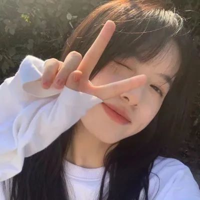 口袋军团破解版下载